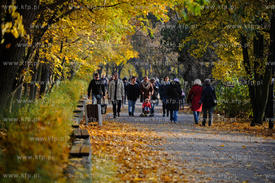 Gdansk. Park Jelitkowski.
06.11.2011
fot. Mateusz...