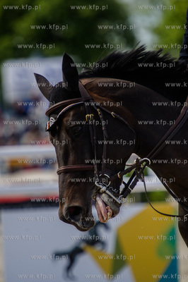 Oficjalne Miedzynarodowe Zawody w Skokach CSIO 5* Sopot...