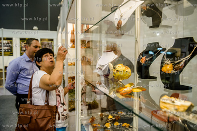 Miedzynarodowe Targi Gdanskie Amber Expo. 17. Międzynarodowe...