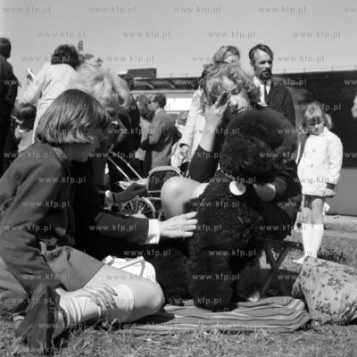 Wystawa psów rasowych na terenie Wyścigów Konnych...