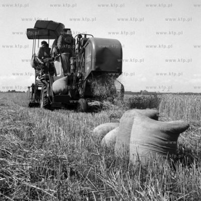 Sianokosy na Żuławach. 
1968
0004927z_1968
Fot. Zbigniew...