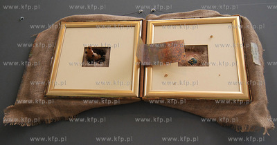 W Pomorskim Parku Naukowo - Technologicznym trwa unikatowa,...