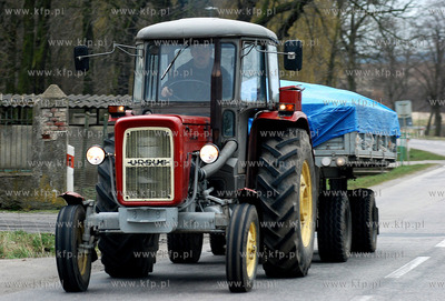 Tczew. Ciagnik Ursus na przedmiesciach
15.03.2008
Fot....