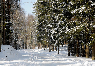 Szymbark /Kartuz. Zima na Kaszubach.
26.03.2009
Fot....