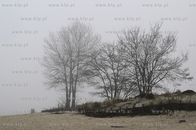 Sopot. Molo i plaza. Mgla. 14.04.2023 fot. Jerzy Bartkowski...