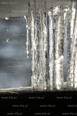 Dobrzewino, wieś na Kaszubach w powiecie wejherowskim....