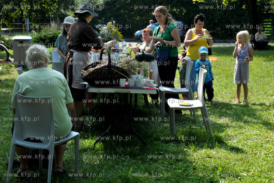 Park Jordanowski, ul. Wyzwolenia i Wladyslawa IV. Cud...