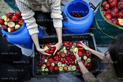 Żuławski Park Historyczny w Nowym Dworze Gdanskim....