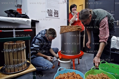 Żuławski Park Historyczny w Nowym Dworze Gdanskim....