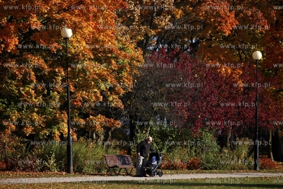 Sopot. Park Polnocny.
14.10.2013
fot. Krzysztof Mystkowski...