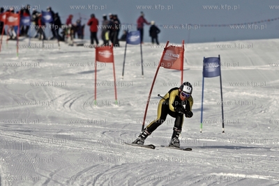 Stok narciarski w Trzepowie w okolicach Przywidza....
