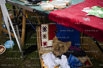 Gdańsk. Jarmark św. Dominika.
17.08.2016
fot. Krzysztof...