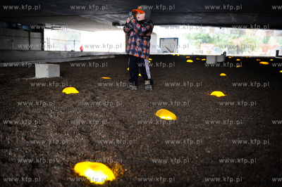 Gdansk. Ul. Szopy. Instalacja autorstwa Freda Hatta...