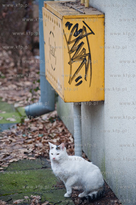 Sopot. Przeznaczone do rozbiorki budynki mieszkalne...