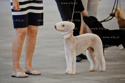 Gdansk. Teren przed stadionem PGE Arena. Miedzynarodowa...