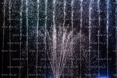 Gdansk. Park Oliwski. Miedzynarodowy Festiwal Mozartowski...