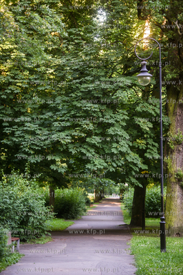 Gdańsk. Park Akademicki. 17.07.2017 fot. Mateusz Ochocki...