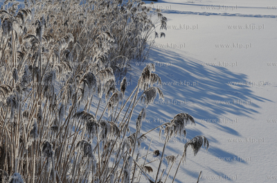 Gdansk Zakoniczyn. Zimowy, krajobraz pelen sniegu.
14.01.2010
fot....