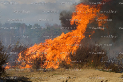 Gdansk. Groznego pozaru na terenie bylego poligonu...