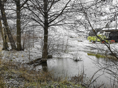 Gdynia, Kacze Buki. Pierwsze opady śniegu.02.12.2019...