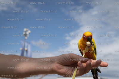 Otwarcie Mariny Puck. 

22.07.2023 Fot. Anna Bobrowska...