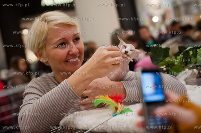 Gdansk. Galeria Baltycka. Obchody swiatowego dnia kota....