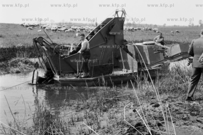Prace melioracyjne na Żuławach. 1965
0006454z_zulawy
Fot....