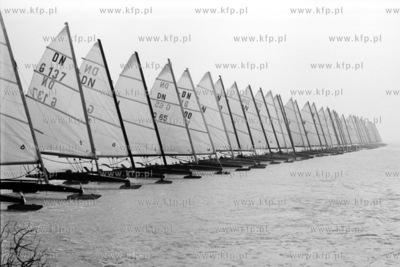 Bojerowe mistrzostwa Europy w Krynicy Morskiej na Zalewie...