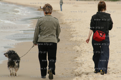 Mimo zakazu, wiele osob zabiera psy na spacer po plazy....