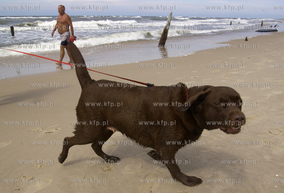 Rowy. Plaza dla psow. Specjalinie wyznaczony odcinek...