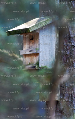 Miejscowosc Ulinia w gminie Wicko. Nz. Karmik dla ptakow...