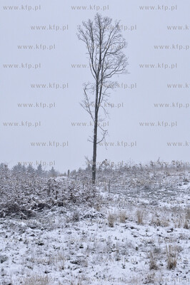 Zima w Koszalinie 29.11.2010. fot. Jaroslaw Ryfun /...