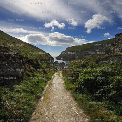 Irlandia, Nohoval Cove. Klify polozone na poludniowy...