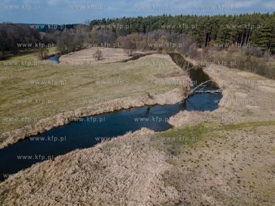 Wierzyca - rzeka w północnej Polsce, lewy dopływ...