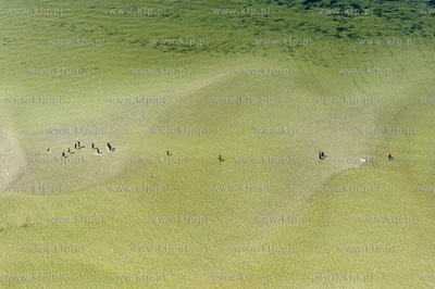 Marsz Sledzia odbywa sie Rybitwia Mielizna (Rewa Mew)...