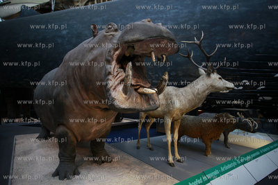 Londyn. Muzeum Historii Naturalnej.
07.10.2011
fot....