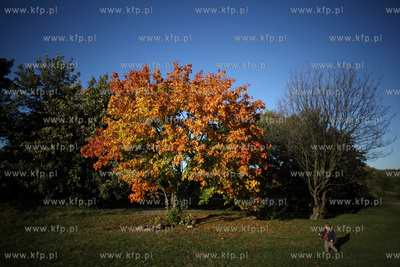 Gdansk. Park Ronalda Reagana.
17.10.2012
fot. Krzysztof...
