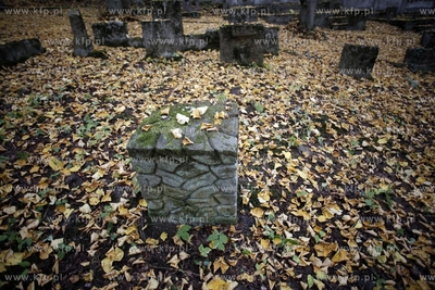 Sopot. Zydowski cmentarz.
24.10.2012
fot. Krzysztof...