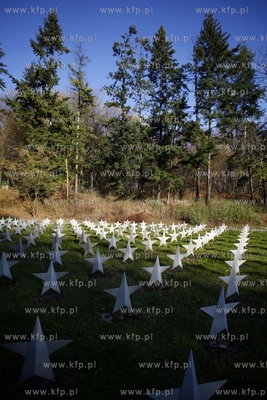 Cmentarz zolnierzy radzieckich w Gdansku.
31.10.2013
fot....
