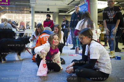 25. Finał WOŚP w C.H. Manhattan. Nz.
15.01.2017
fot....