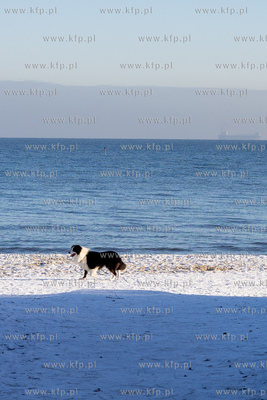Zimowy Sopot. 05.12.2023 / fot. Anna Rezulak / KFP