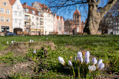 Gdańsk, Wiosna na Skwerze Świętopełka Wielkiego....