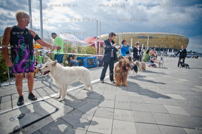 Gdansk. Teren przed stadionem PGE Arena. Miedzynarodowa...