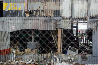 Gdansk. Ujescisko. Ugaszony przez Straz Pozarna pozar...