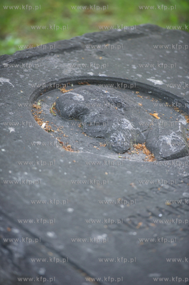 Gdańsk. Lapidarium w parku Akademickim. 17.07.2017...