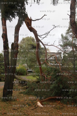 Sopot. Skutki wichury, ktora szalala w nocy w Sopocie....