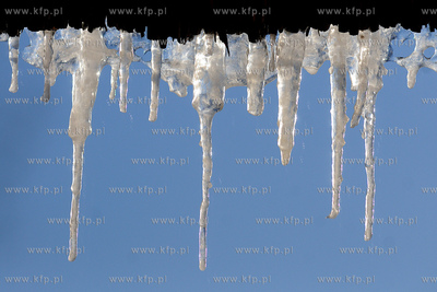 Centrum Edukacji Promocji Regionu w Szymbarku. Nz....