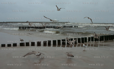 Sztormowa pogoda w Ustce 31.01.2013 
fot. Pahaoo/KFP