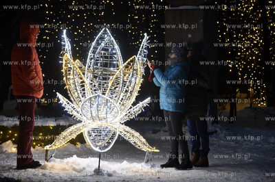 Gdańsk. Iluminacja świąteczna w Parku Oliwskim....