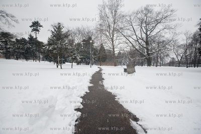 Gdansk. Park Stefensa wzdluz Al. Zwyciestwa.
20.03.2013
fot....
